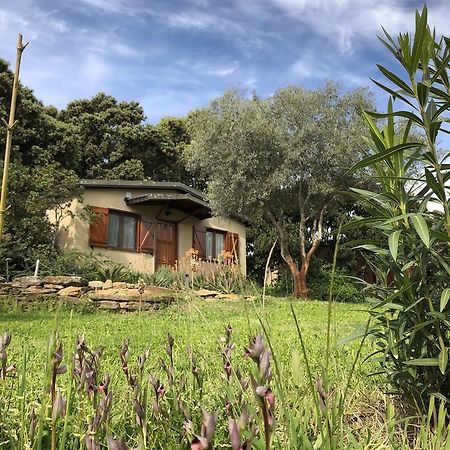 Penzion La Cerca Del Alcornoque Casas de Belvis Exteriér fotografie