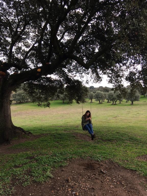 Penzion La Cerca Del Alcornoque Casas de Belvis Exteriér fotografie