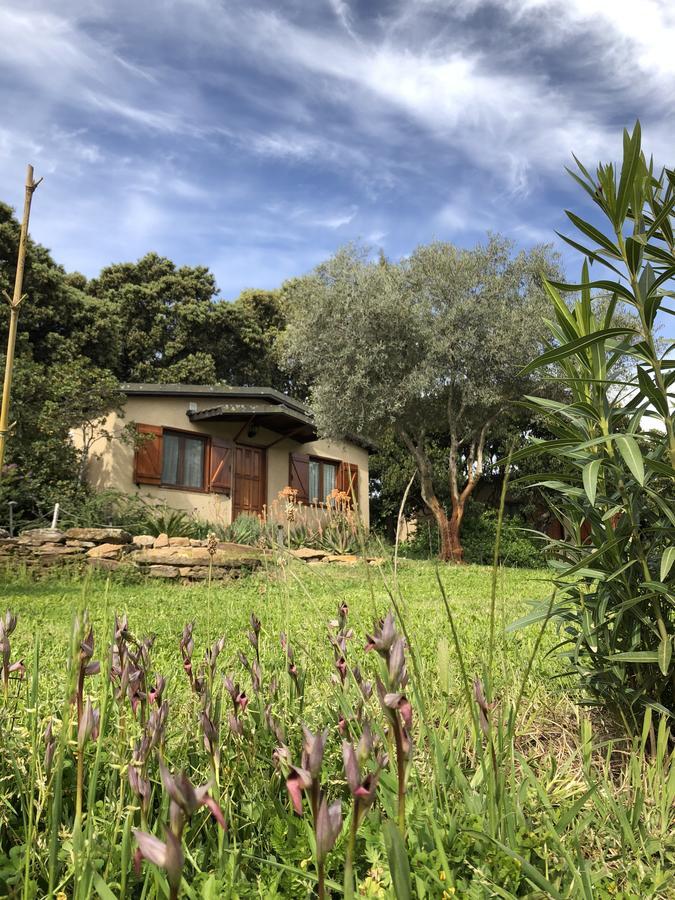 Penzion La Cerca Del Alcornoque Casas de Belvis Exteriér fotografie